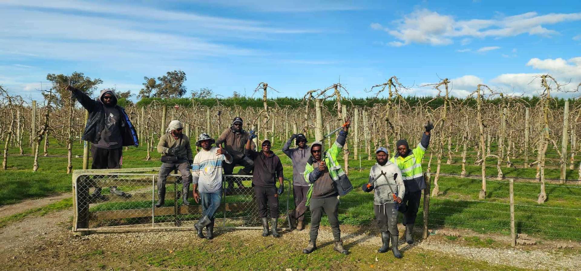 Orchard pruning team β Australia